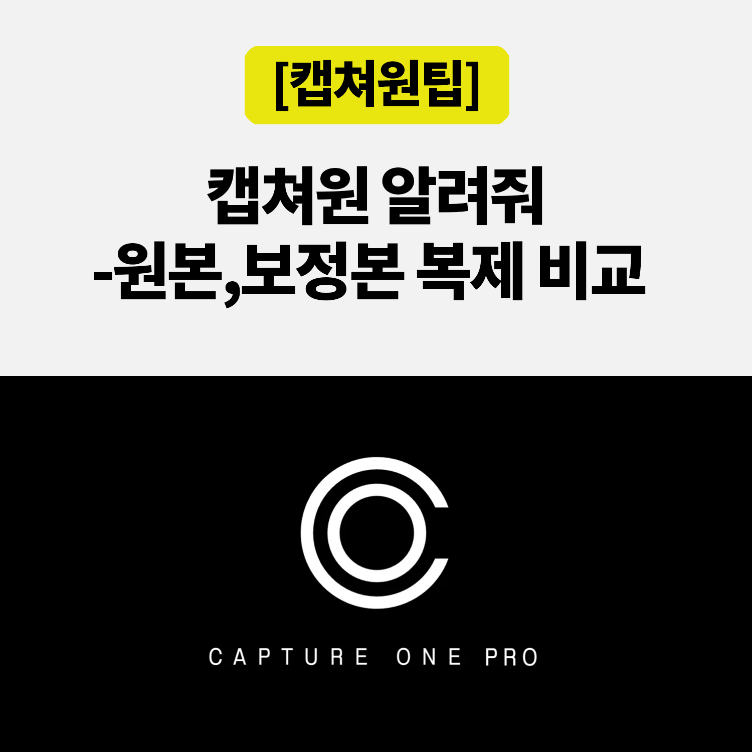 캡쳐원 New Variant와 Clone Variant, 보정한 사진을 망치지 않고 비교하는 법