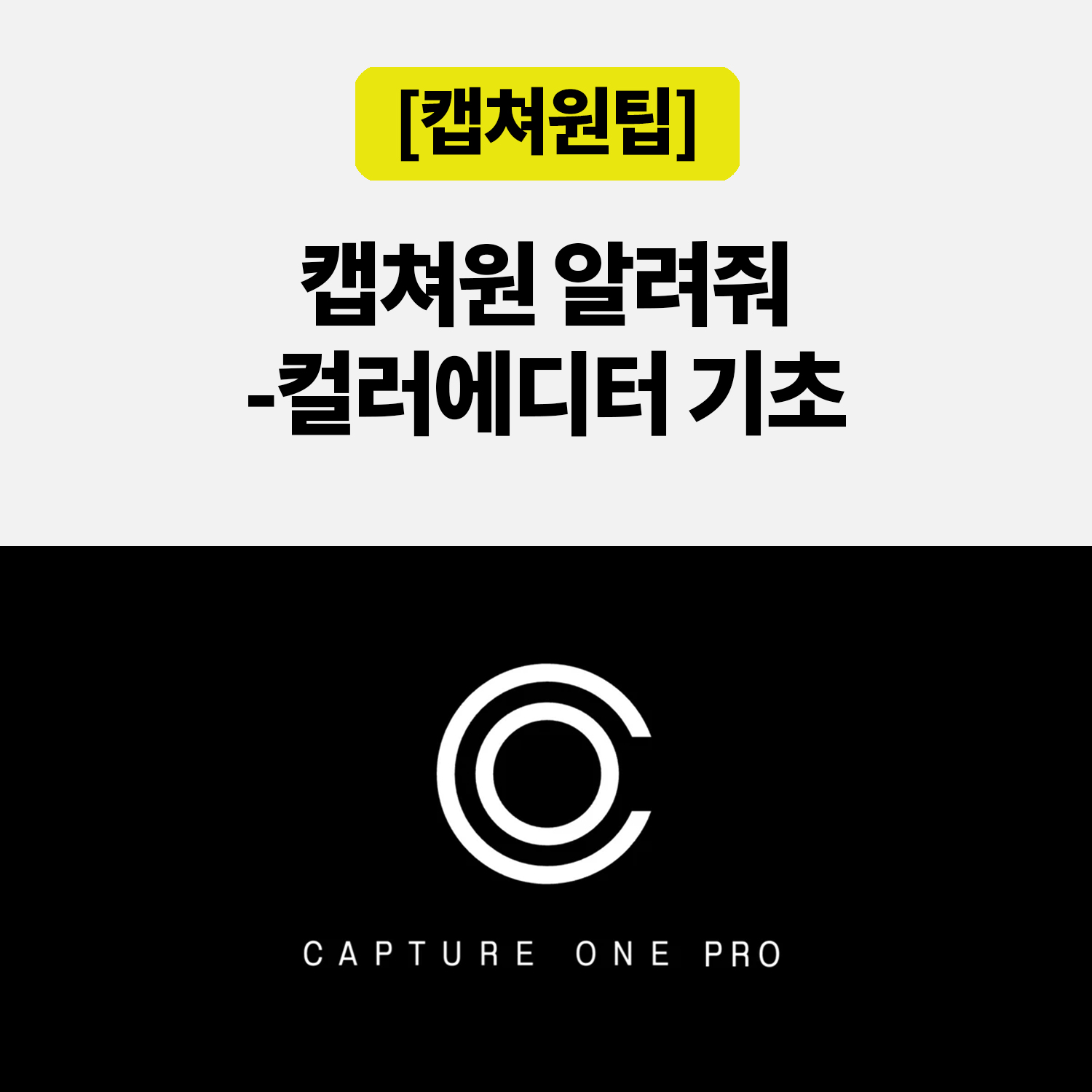 캡쳐원 컬러에디터 기초, 배경색을 바꿨는데 피부도 달라졌다면?