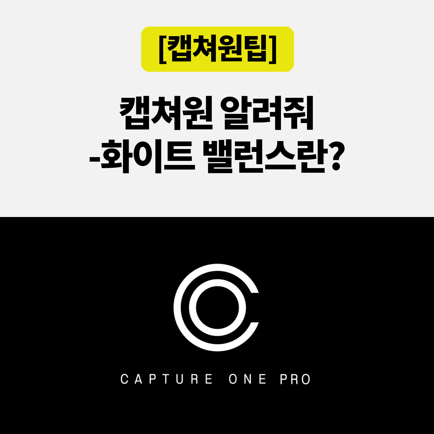 캡쳐원 화이트밸런스, 흰색만 맞췄는데 피부가 이상해지는 이유