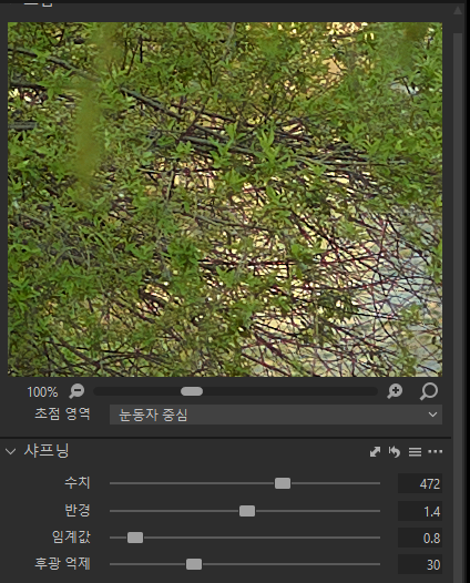 캡쳐원 샤프닝 설정, Amount만 높이면 선명해질까요?